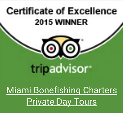 Trip Advisor Miami Fishing Charter